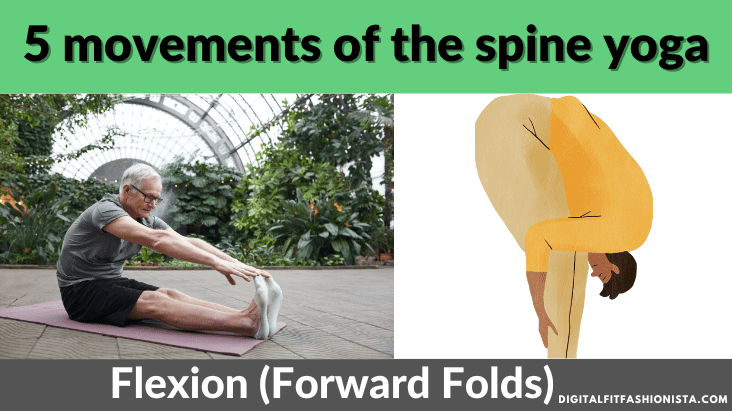 5 movements of the spine yoga