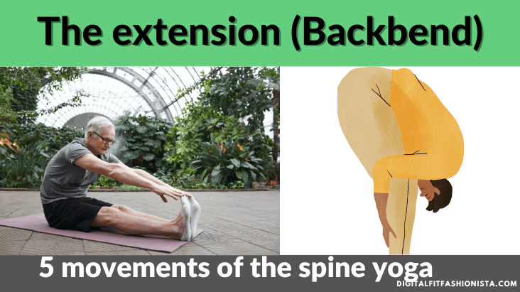 5 movements of the spine yoga