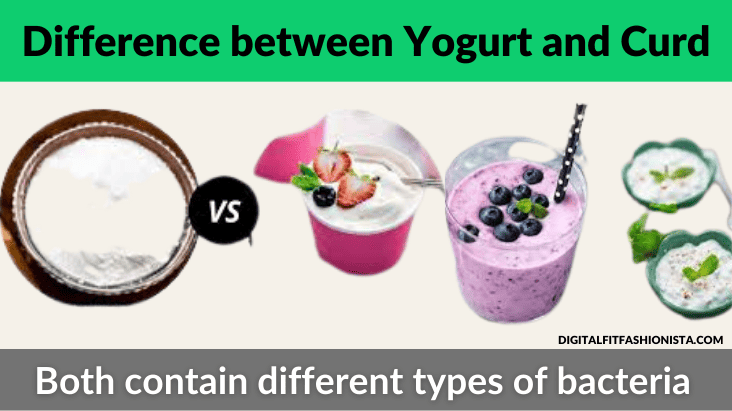 Difference between Yogurt and Curd