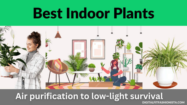 Best Indoor Plants