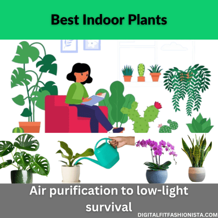 Read more about the article Best Indoor Plants 2024